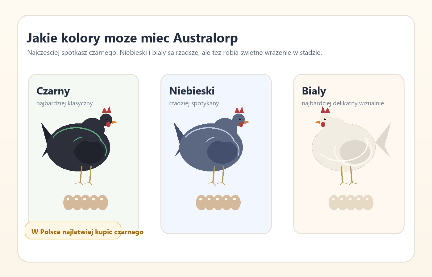 Różne odmiany barwne kur Australorp